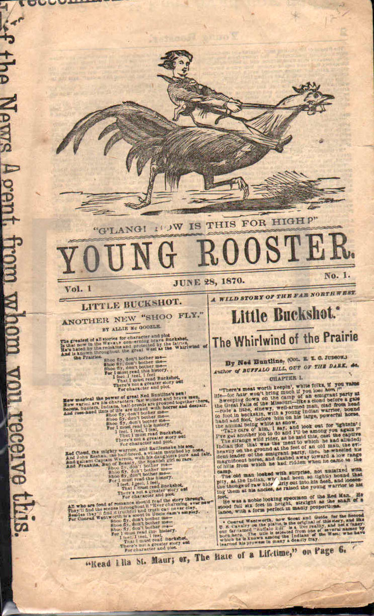 Young Rooster