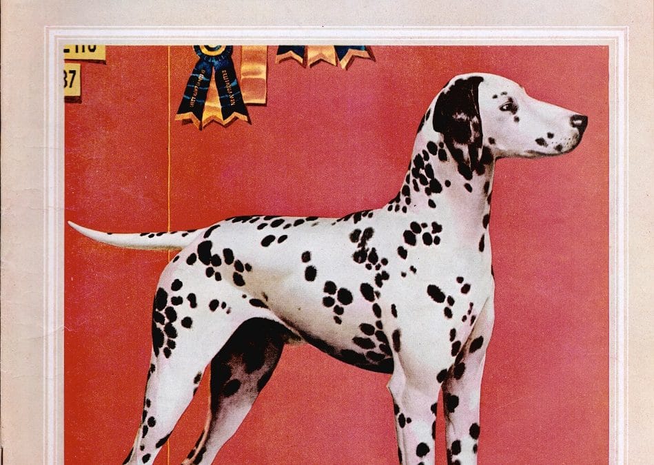 Saturday Evening Post