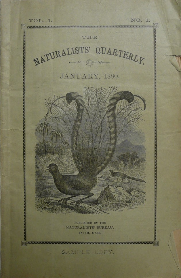 Naturalists’ Quarterly