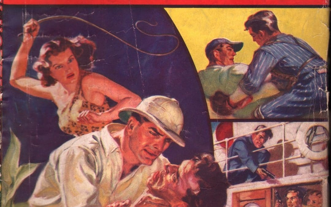 Variety Novels Magazine